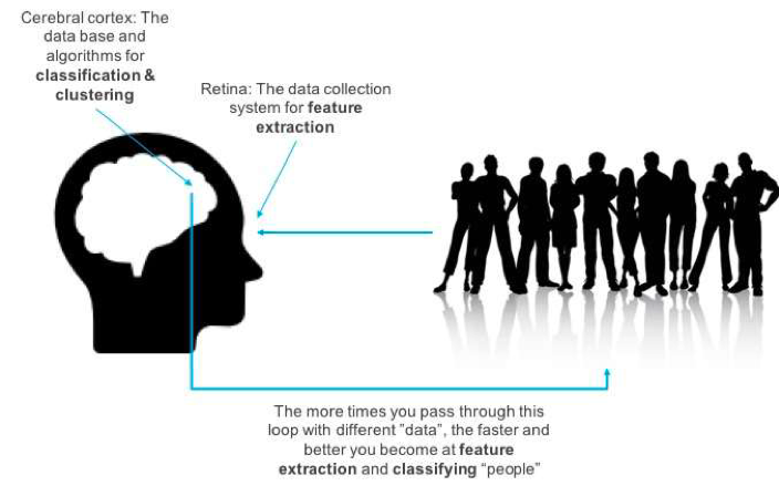 人脑和模式识别之间类比的可视化